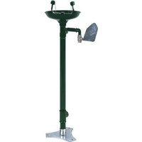 LAVAOJOS PEDESTAL Y RECOGEDOR INOX NOFER SC320SS LATON EPOXI VERDE