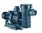 BOMBA MAXIM 2860 r.p.m 5,5 cv ASTRAL