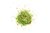 KG. ACTIVE CLEAR GLASS 3.0 mm- 7.0 mm ASTRAL